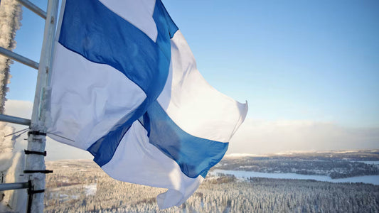 DESIGN FROM FINLAND